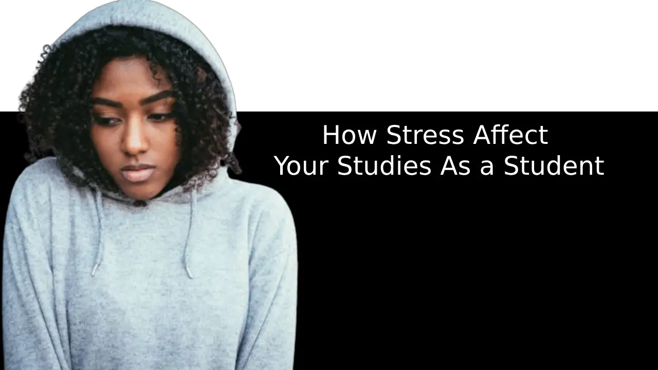 How Stress Affect Your Studies As a Student