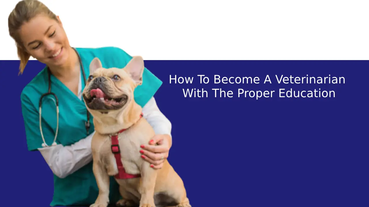 How To Become A Veterinarian With The Proper Education