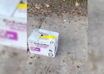 Woman Driving Was Shocked To Discover A Mystery Box Sitting On A Sidewalk