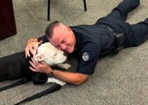 Overlooked Shelter Dog Visit The Local Police Department And Becomes A Member Of Their Team