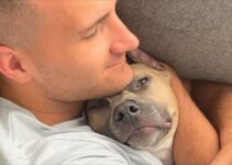 Couple Decides To Give Home To An Abandoned Pittie And Discovers Something Amazing About His Breed