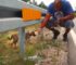 Couple Drops Everything They Were Doing To Save A Terrified Puppy Living On The Roadside