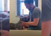 Pittie That Spent 150 Days In The Shelter Now Has The Sweetest Morning Routine With His Foster Dad