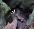 Man Heard Strange Noises Coming From The Cave Only To Realize Who It Was Coming From