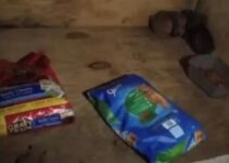 Shelter Workers Received A Donation Box And Were Surprised By What Was In It