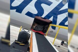 Airline Workers Were Shocked By What They Found In A Cargo Hold