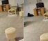 Owner Placed Cameras In Her House To See What Her Dog Does And The Truth Was Heartbreaking