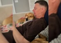 A Broken Abandoned Puppy Who Was Frightened Of Humans Is Now The Happiest Daddy’s Girl
